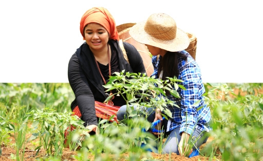 インドネシア固有の農作物のブランド化と世界展開を実現した女性起業家